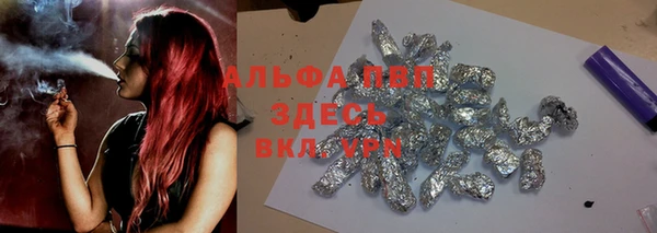 индика Алексин