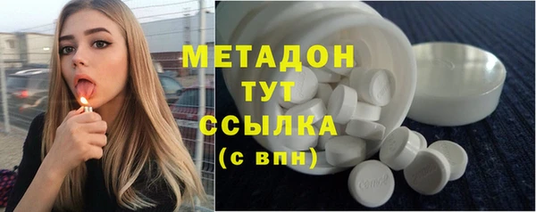индика Алексин