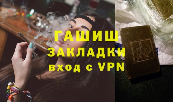 индика Алексин
